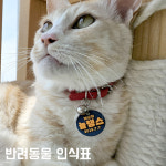 반려동물 인식표 : 스컬D