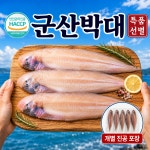 [군산박대] 반건조 손질 박대 개별포장 왕(31~33cm) 10미 : 리얼맘퀸
