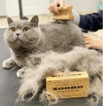 ZOORO 주로그루밍 빗 저자극 이중모 죽은털제거 털갈이 강아지 고양이 친환경 브러쉬 : A-PARK