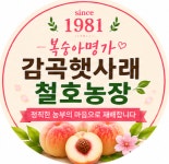 철호농장 충북 음성 햇사레 감곡복숭아 딱딱이 백도(월미) : 철호농장