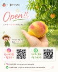 [예약판매]  황도 쫄깃 복숭아 4KG 산지직송 [★품종명 : 황후] : 이복달 복숭아 농장