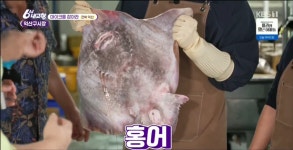 6시내고향 연속출연 / 백년가게 익산구시장 춘포수산 홍어삼합용 (국산,싱싱) : 익산춘포홍어회무침