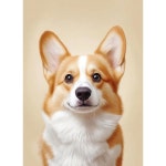 아기 베이비 강아지 댕댕이 dog 골든리트리버 동물 병원 애견 카페 용품 동화 파르텔 벽지 시트지 롤스크린 : 으뜸데코