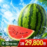 당일경매 국내산 10키로이상 대과사이즈 수박 맛있는 수박 경매후바로발송 디저트 간식용 : 주식회사 오케이농산
