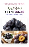 자두 바이오체리 1kg 체리처럼 달콤한 신품종 자두 산지직송 : 청원두릉농장