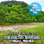 [강원] 인제 아침가리 계곡트레킹(워터트레킹)+백담사(백담계곡) 당일여행 (일반/리무진버스) / 서울경기出 : 파랑새투어