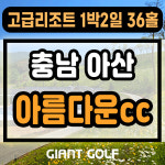 충남 아산 아름다운cc 1박2일 고급리조트 골프 패키지 : GIANTGOLF