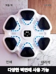 펀치백 블루투스 뮤직 리듬 벽걸이 복싱 스마트 가정용 홈트레이닝 운동 샌드백 : 제로웨이26