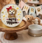 [놀면멍하냥] 강아지 고양이 미니케이크 생일파티 수제간식 : 놀면멍하냥