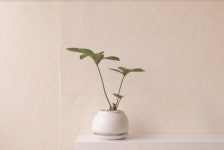쎄르 볼드랍팟 1호 감성화분 홈가드닝 인테리어화분 : 쎄르 : serre