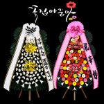 전주화환 전주쌀화환 새꽃 당일배달 : 꽃집아줌마