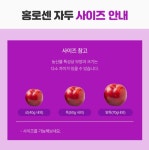 당도보장 프리미엄 홍로센/홍로렌자두(상) 13Brix, 3kg, 1개 : sayosa