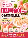 [철호농장] 충북 음성 햇사레 감곡복숭아 딱딱이 백도 (품종:대월)  (원산지 : 국산) 예약판매 : 철호농장