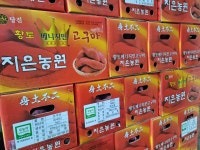 지은농원 베니지민 꿀고구마  10kg 5kg 3kg : 농부하우스