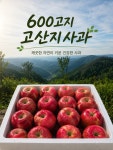 청송사과 : 600고지 진명농원