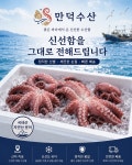 만덕수산 국내산 자연산 문어 2.5kg 손질문어 : 만덕수산