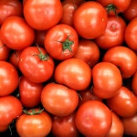 무농약 완숙토마토 친환경 신선 토마토 1kg 3kg : 푸드투유