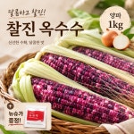 쫀득하고 찰진 강진 26년 햇  흑찰옥수수 구매시 양파 1kg,뉴슈가 동봉 : 식명관