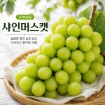 영천 샤인머스켓 산지직송 특품 1.5kg 3kg 고당도 포도 : 순덕이농장