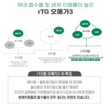 웰러스 알티지 고함량 오메가3 1200 비타민D 1300mg 대용량 90캡슐(3개월분) : 에스엠헬스코리아