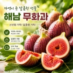 해남 무화과 고당도 산지직송 제철과일 GAP인증 우수농산물 1kg 2kg : 월파농장