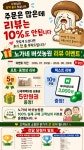 노가네 버섯농원 송이향 송화버섯 국내산 1kg : 노가네 버섯농원