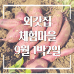 양평외갓집체험마을 1박2일 촌캉스 패키지 - 9월 : 외갓집체험마을