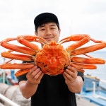 [동해알찬수산]특A급 대게 박달 러시아 마가단 활 자숙 직접선별 오늘특가 3kg, 1개 : 동해알찬수산