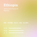 에티오피아 짐마 게라 포레스트 G1 워시드 원두 100g : 스튜디오코스믹