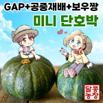 달콩농장 비가림 공중재배 보우짱 미니 밤호박 단호박 1kg,2kg,3kg5kg7kg : 달콩농장