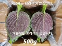 경산와촌 깻잎 찹찹이 당일수확 직송 500g 1kg 2kg : 월천깻잎농원