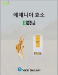 에데니아 효소 (1개월분) : 왕초대박