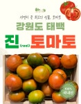 [농가직거래] 정말 맛있는 동양종 강원 태백 찰토마토 3, 5, 10kg : 진마토농장