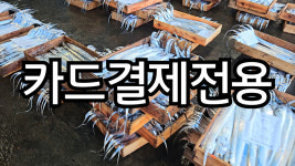 결제용 상품 : 제주도수산