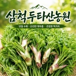 (예약판매) 강원도 삼척 엄나무순 개두릅 산지직송 1kg : 삼척 두타산농원