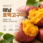 해남 햇 꿀 호박고구마 고당도 군고구마 2kg 3kg 5kg : 월파농장