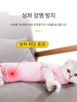 환묘복 고양이 중성화옷 강아지중성화복 그루밍방지 : 집꾸곰