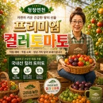 [프리미엄]청정연천 규리네농장 컬러토마토 700g / 1.4kg /2kg /4kg : 규리네 농장