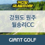 월송리cc 강원도 골프여행 1박2일 36홀 패키지 예약 : 자이언트골프 국내해외 예약