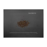 멜레게타 기니Grains of Paradise Aframomum melegueta 100g : 주식회사 바이어브릿지