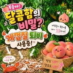 오늘딴 복숭아 4kg 천만금 단황도네오 천하제일도 장호원 송원망고 딱딱이 황도 백도 선물용 : 성호네농산물