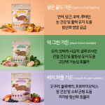 스푼풀 다이아몬드스텝 DiamondStep 프리미엄 간식 3개(36개입) 교차구매가능 : 스푼풀코리아spoonful