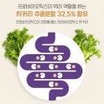 잦은방귀 낙산균 생 모유 약국 유산균 포스트바이오틱스 30포, 6개 : 슬락 라이프