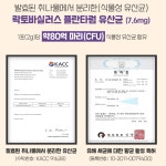 잦은방귀 낙산균 생 모유 약국 유산균 포스트바이오틱스 30포, 1개 : 슬락 라이프