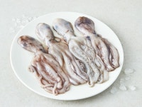 [박스푸드] 대용량 활낙지 5.1kg(8미) : 영어조합법인 서풍