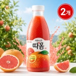 빙그레 자연에서 갓 따옴 자몽주스 730ml,2개 : 밀크 랜드
