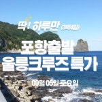 [울릉크루즈/단1회] 포항출발 울릉도 3박4일 PKG : 한국드림관광