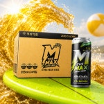 더 맥스 에너지 드링크 더맥스 에너지 드링크 355ml x 24개입 1box 제로칼로리 : 다나아팜