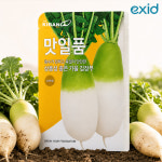 이엑스아이디 더기반 맛일품무 김장무 씨앗 가을무 2000립 : 주식회사 이엑스아이디