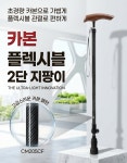 카본 플렉시블 2단지팡이 CM205CF : 신영메딕스